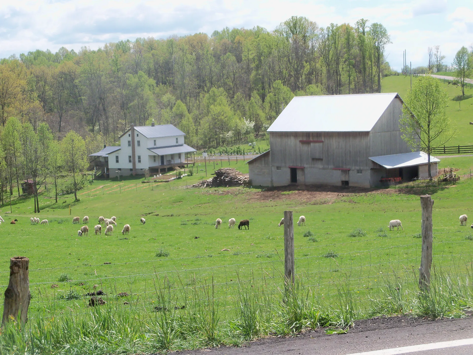 Farm with sheep along the road in Perry Township, Ohio.