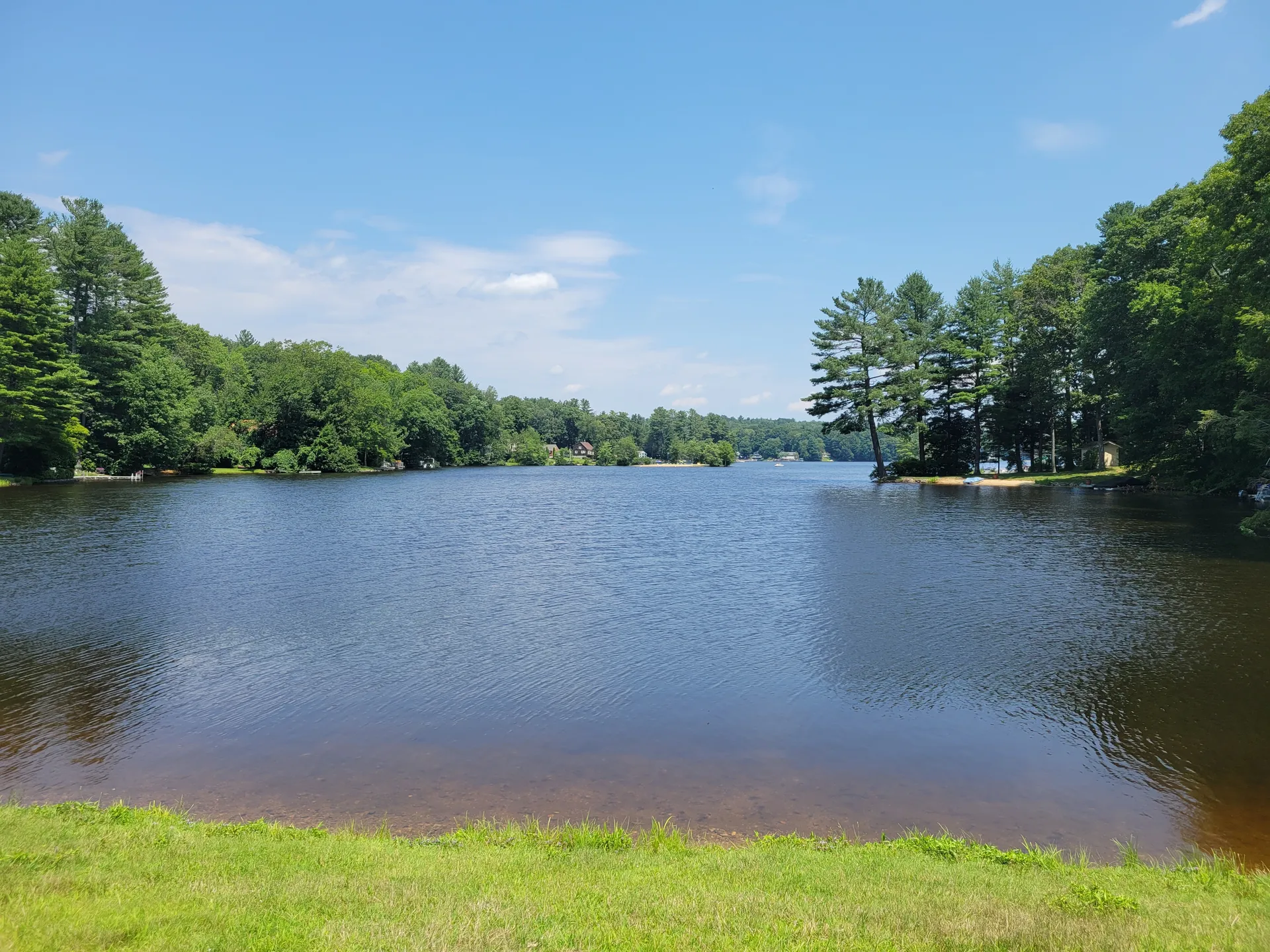 Witches Woods Lake in Woodstock, Connecticut, a calm wooded lake framed by tall pines and a grassy bank in the foreground.