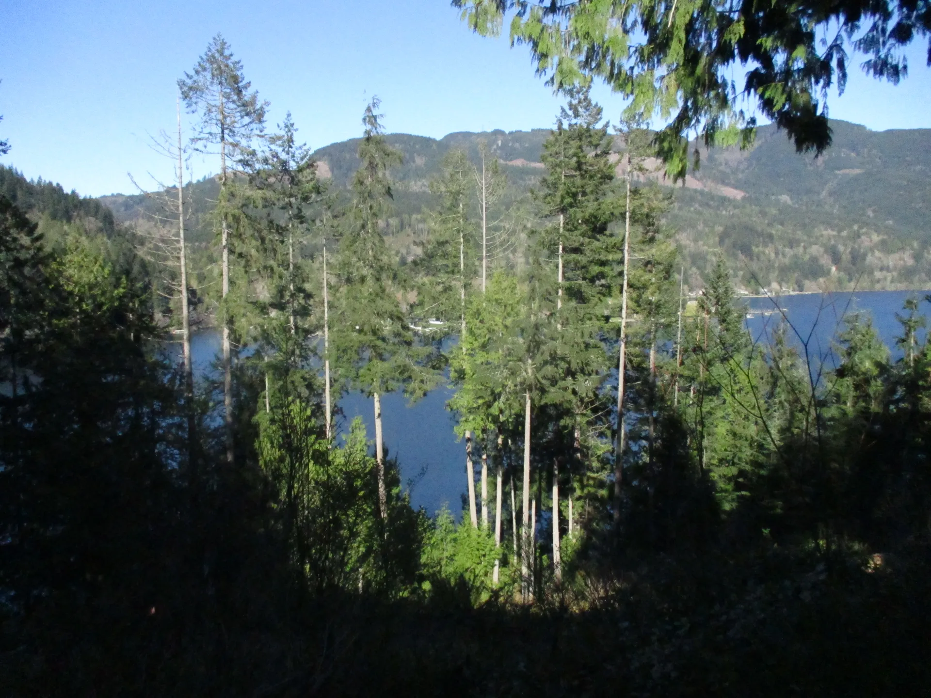 Lake view through the forest from Lookout Mountain in Summit, Washington.