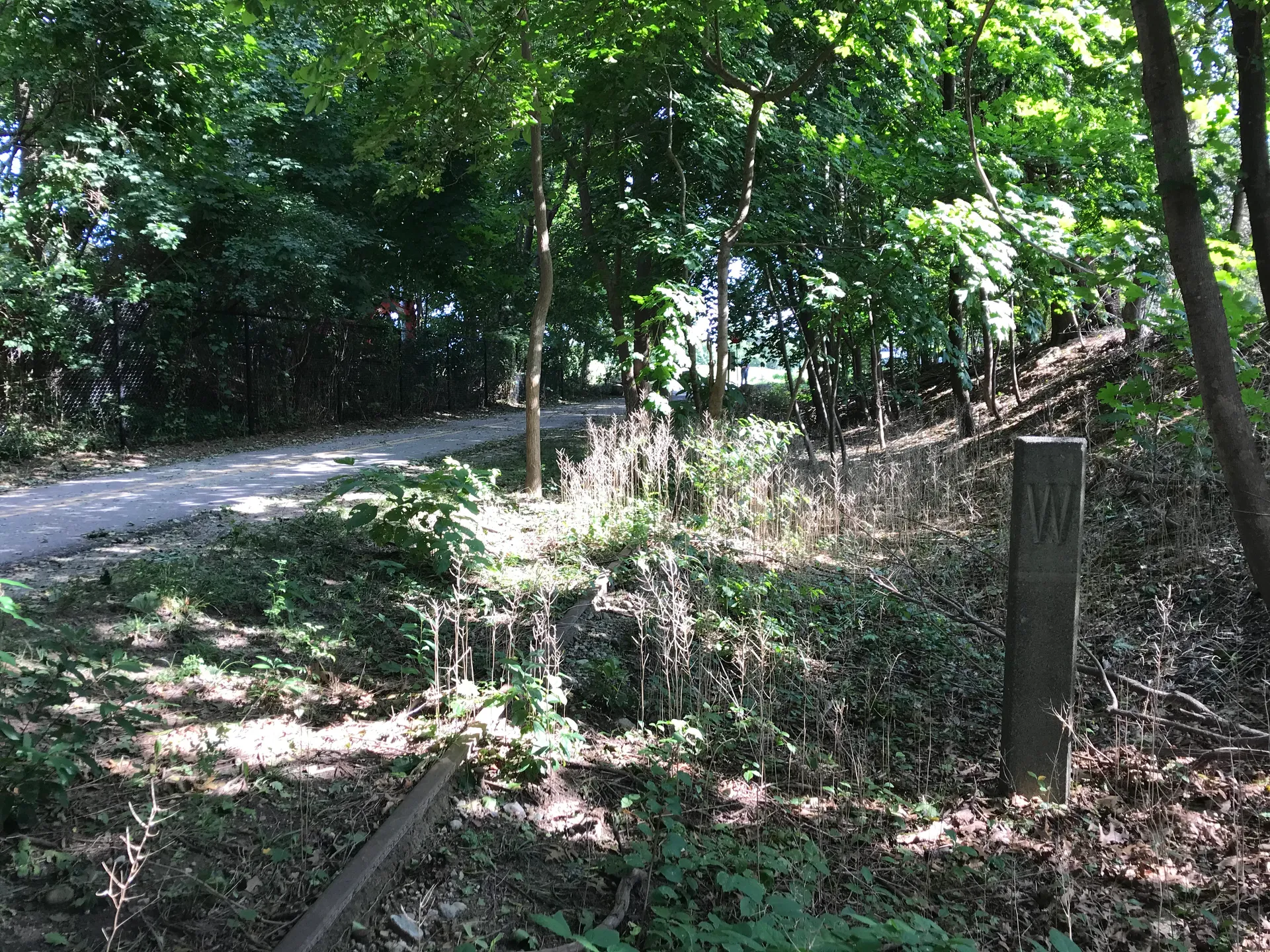 Seaside Trail path through green woods in North Plymouth, Massachusetts.