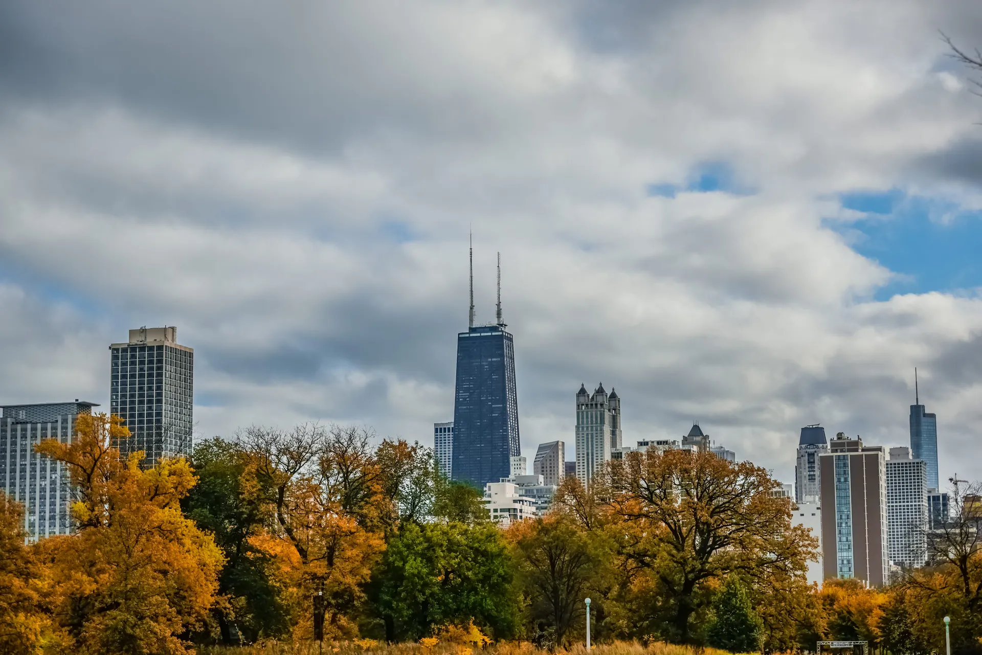 Chicago skyline behind trees and parkland in Lincoln Park.
