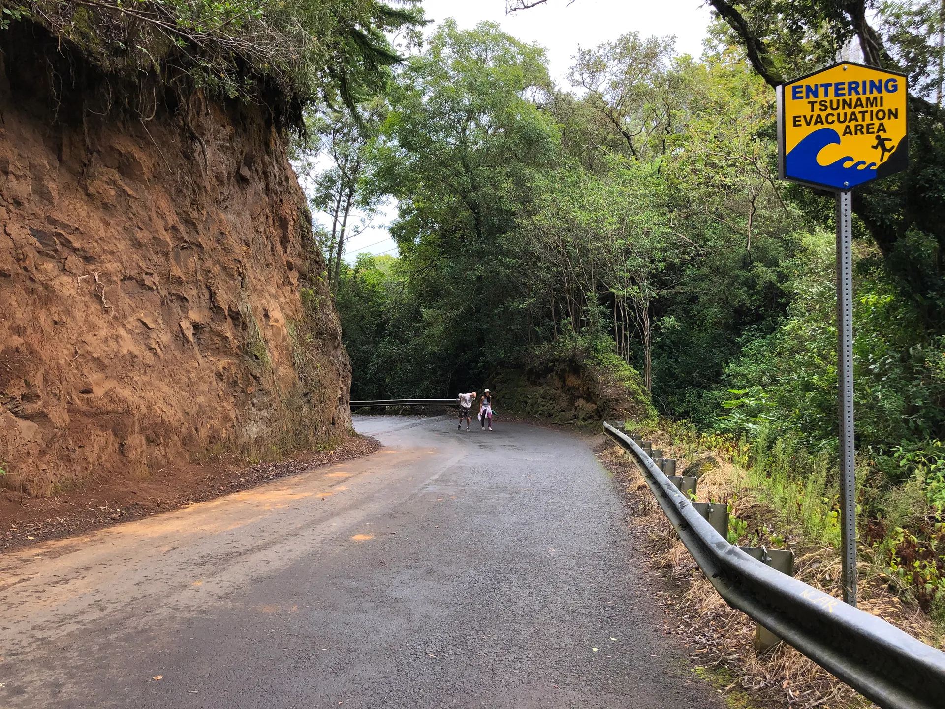 Waipio Valley Road winding through rainforest at Kukuihaele, Hawaii.