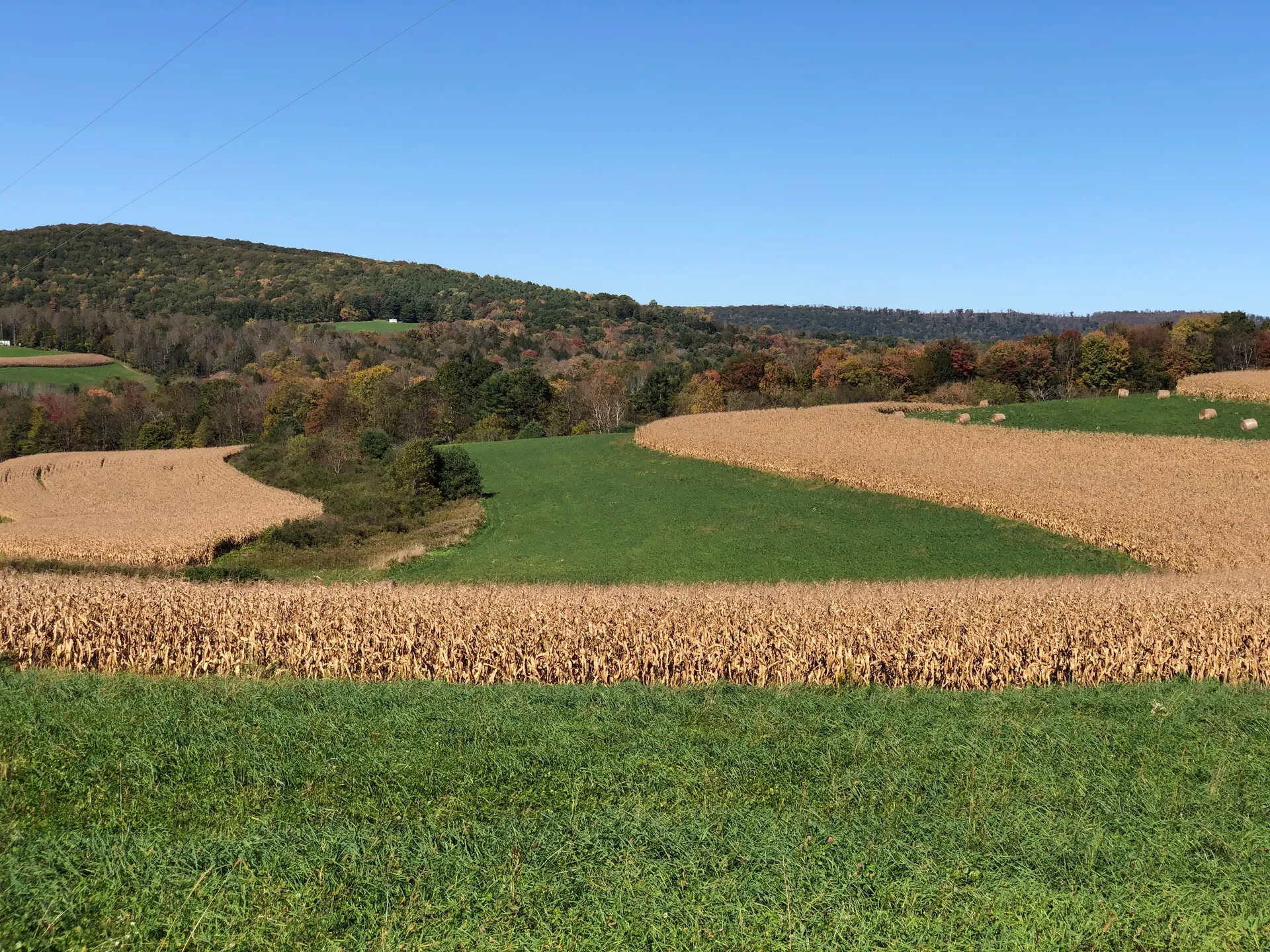 Patchwork farm fields of corn stubble and green pasture roll toward wooded ridges along Lick Run Road in Cogan House Township.