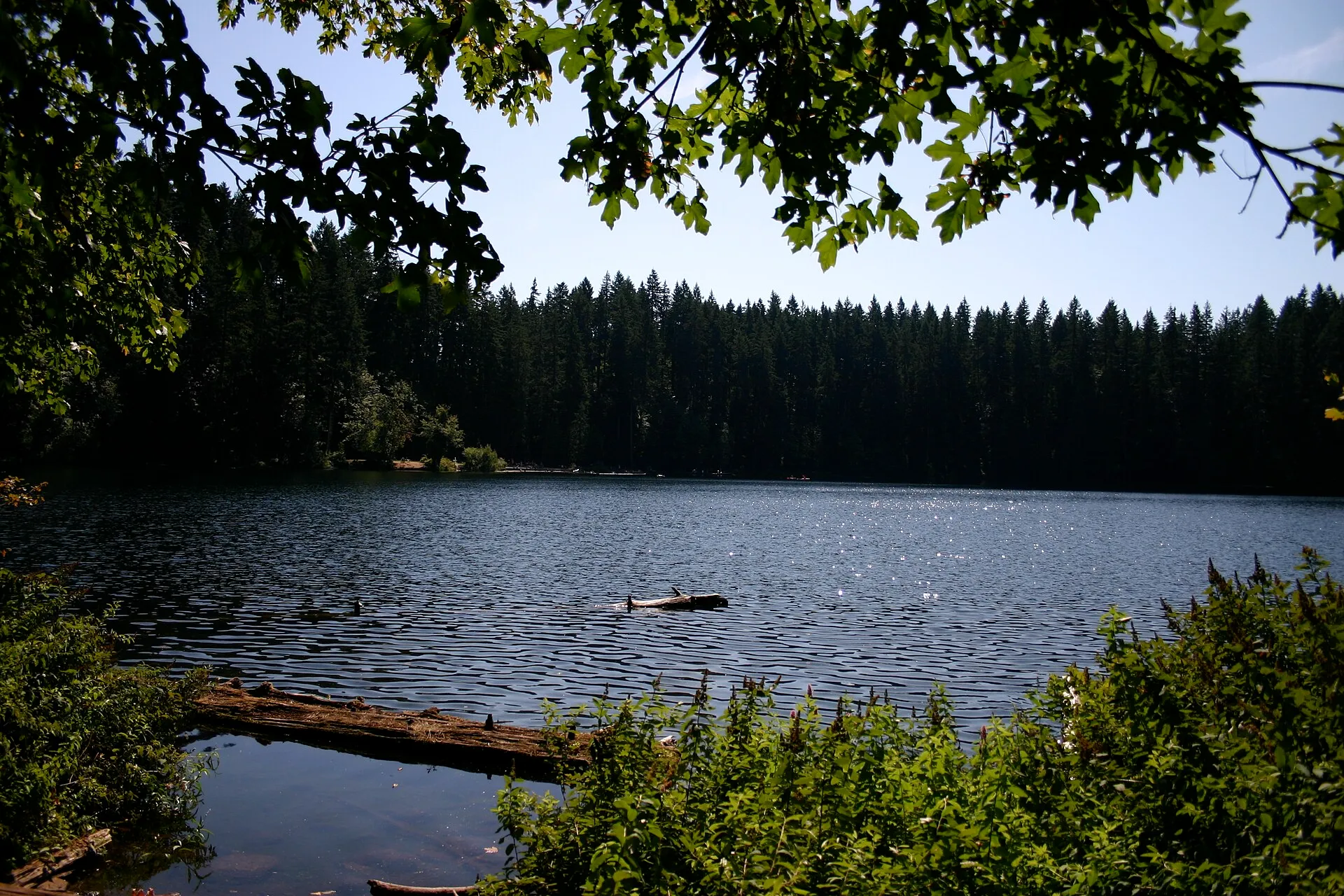 Battle Ground Lake State Park