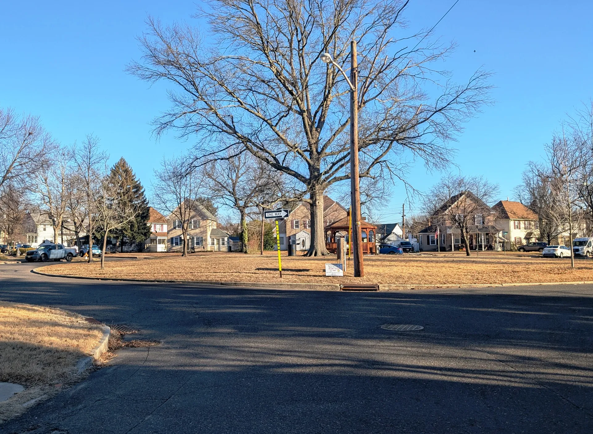 On Maude Avenue in Brooklawn, a broad lawn with tall bare trees opens onto a row of modest homes at the street corner.