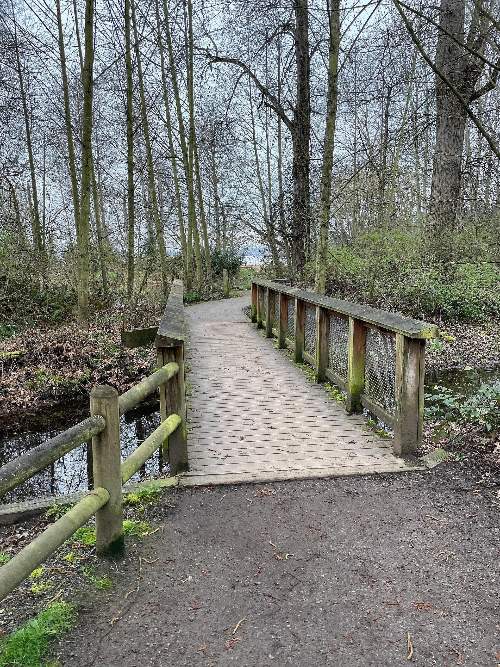 Wooden footbridge among trees at Juanita Beach Park in Kirkland.
