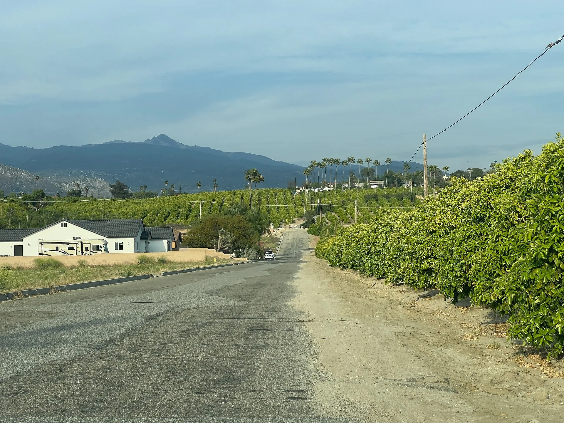 Orange Groves and San Jacinto Mountains in Valle Vista, California. Valle Vista, CA.