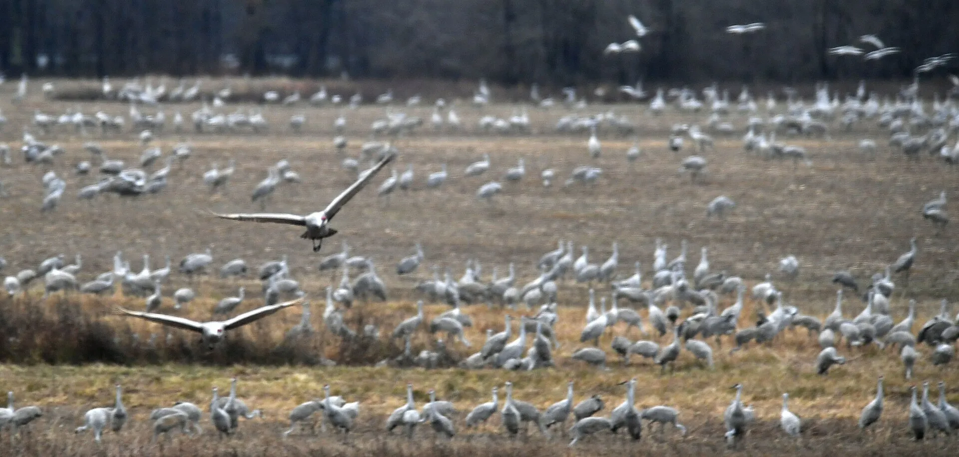 Wheeler National Wildlife Refuge