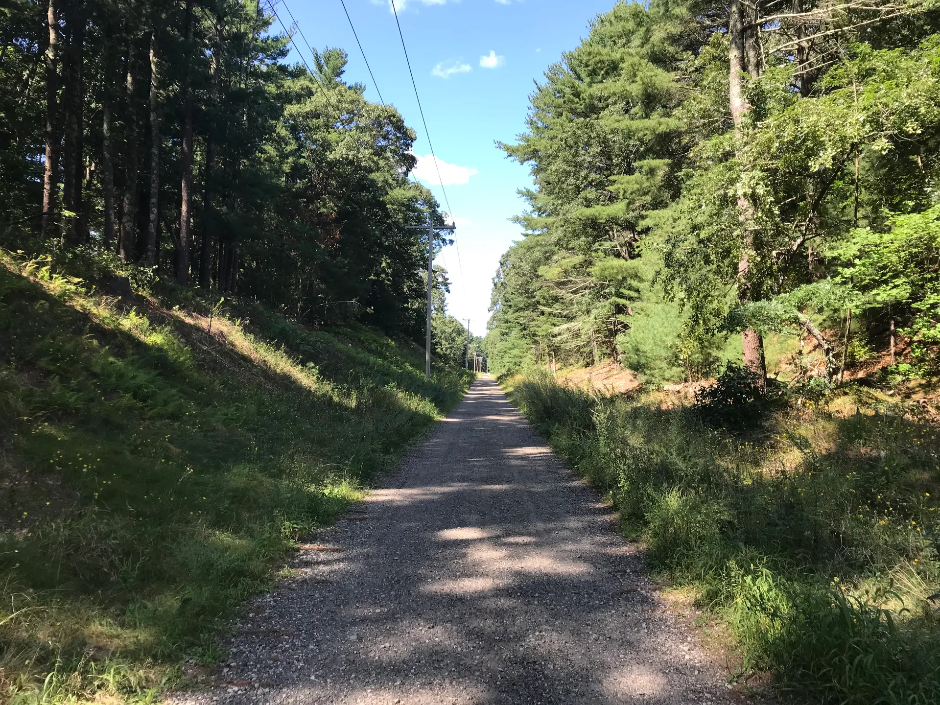 Shaded Bridle Trail through the woods in Marshfield, Massachusetts.