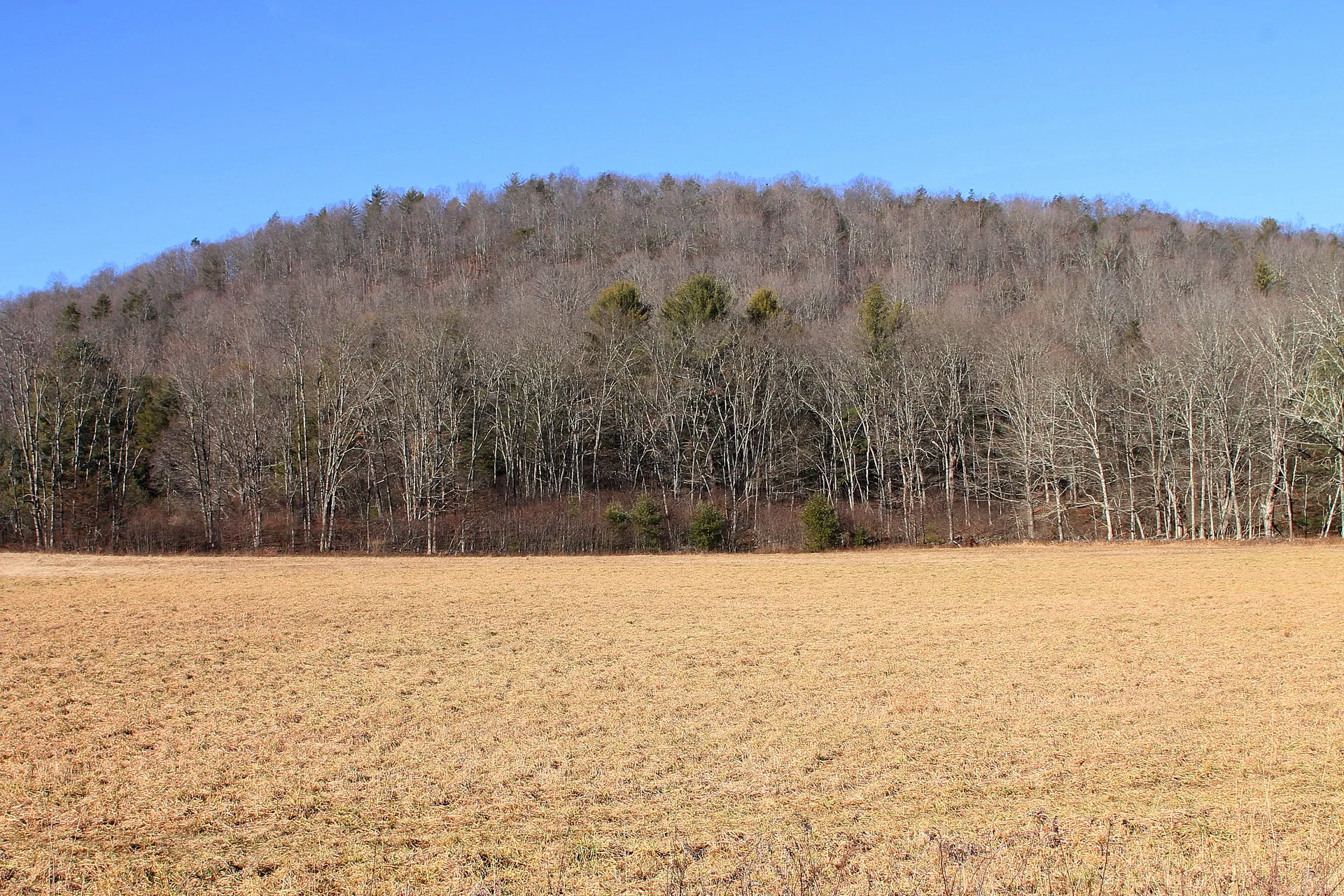 A tilled field stretches toward a forested ridge in eastern Fairmount Township, Luzerne County.