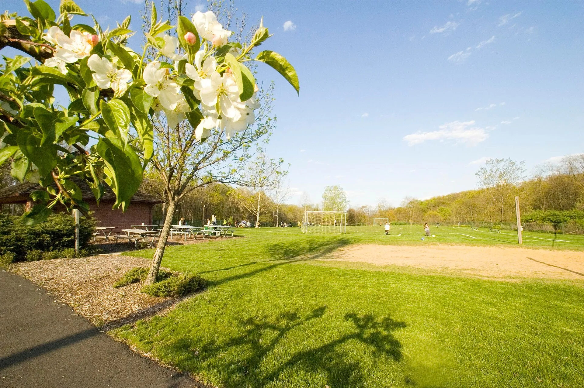 Central Park Whippany NJ. Whippany, NJ.