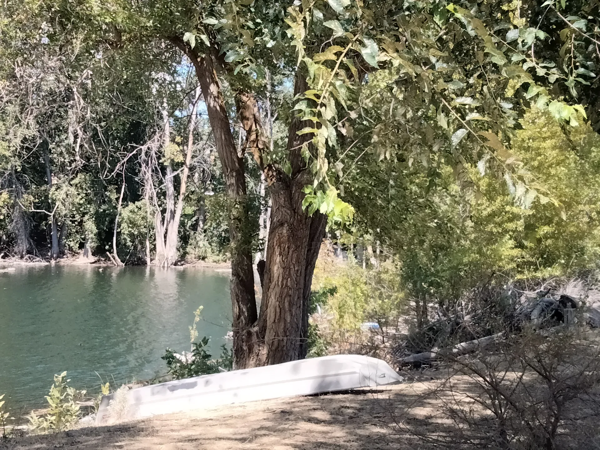 Three Lakes Reservoir Dam and shoreline in Three Lakes, Washington.