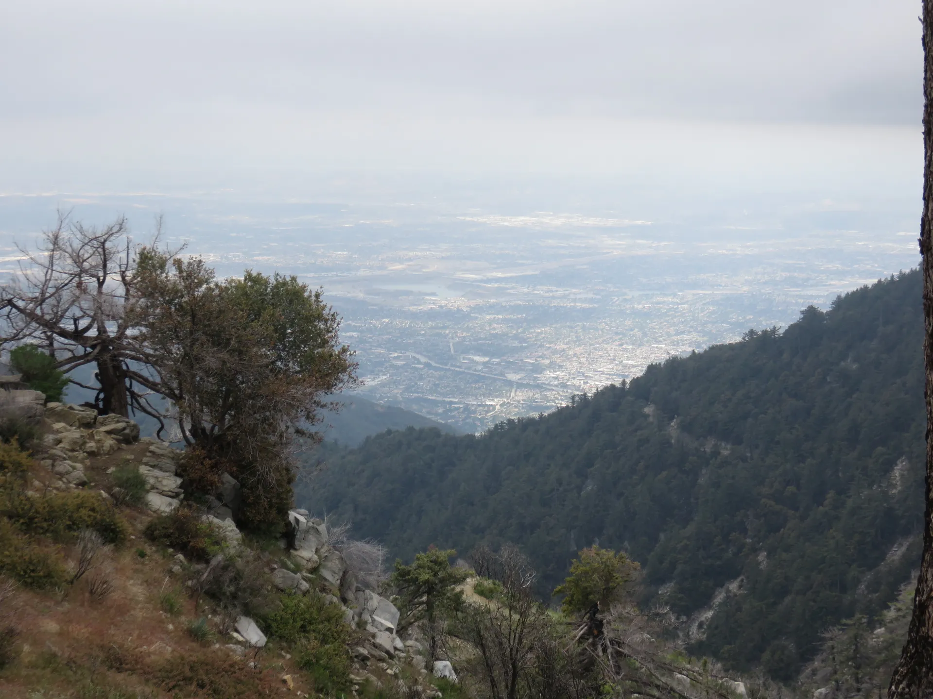 View of Monrovia and the San Gabriel Valley from Mount Wilson, California.