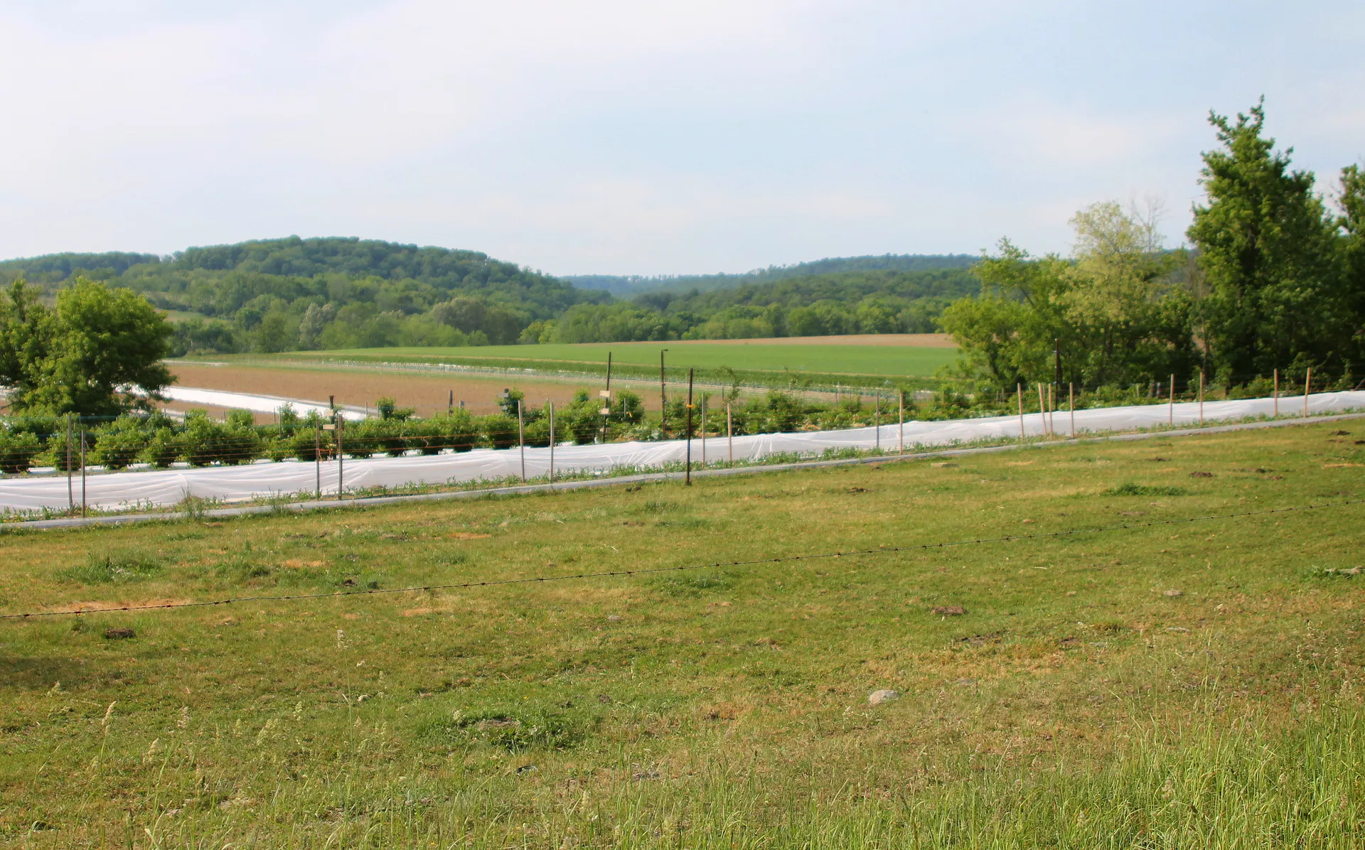 From Route 254, Jerseytown appears as a cluster of farms and homes across rolling green fields and fencing.