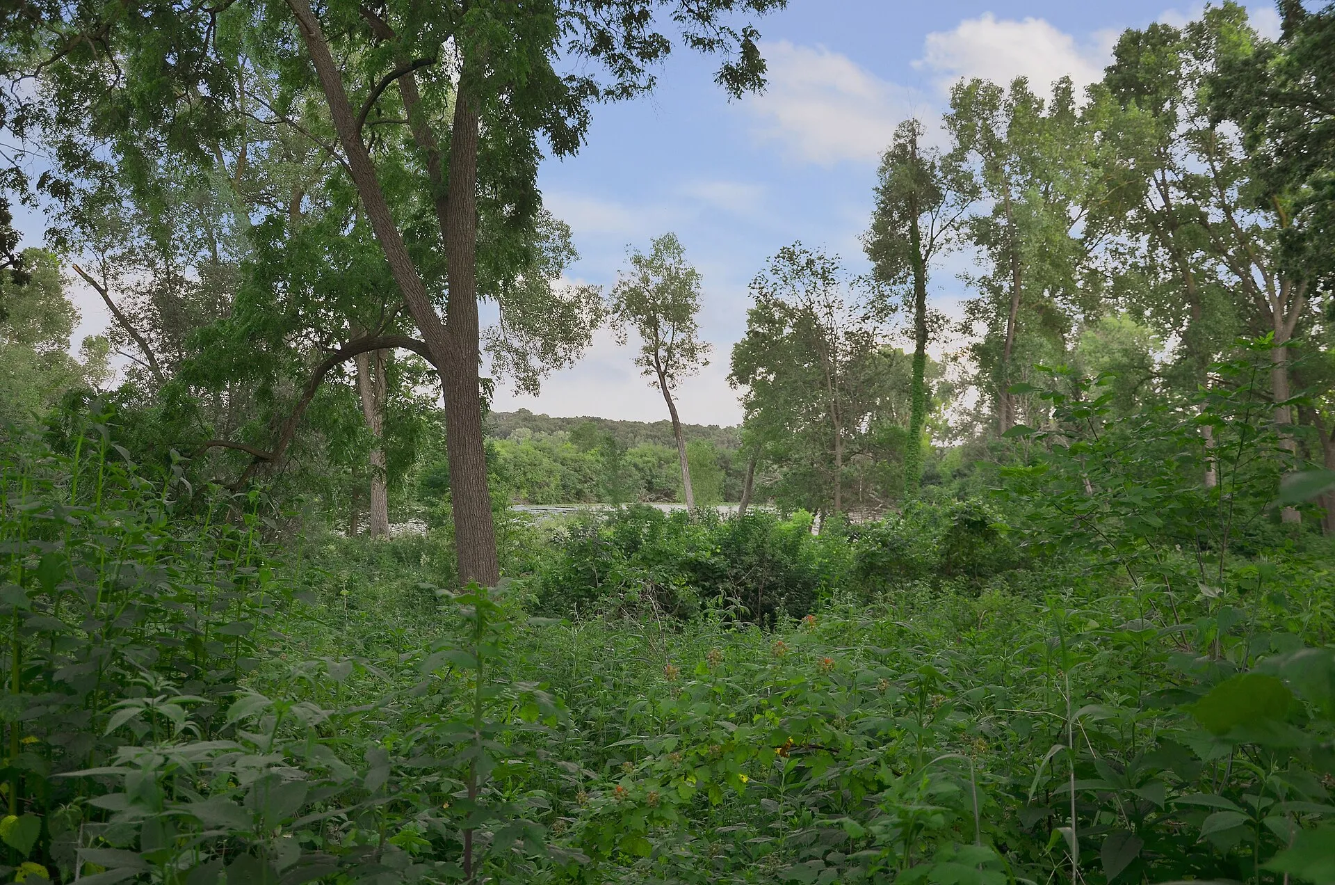 University of Wisconsin Arboretum