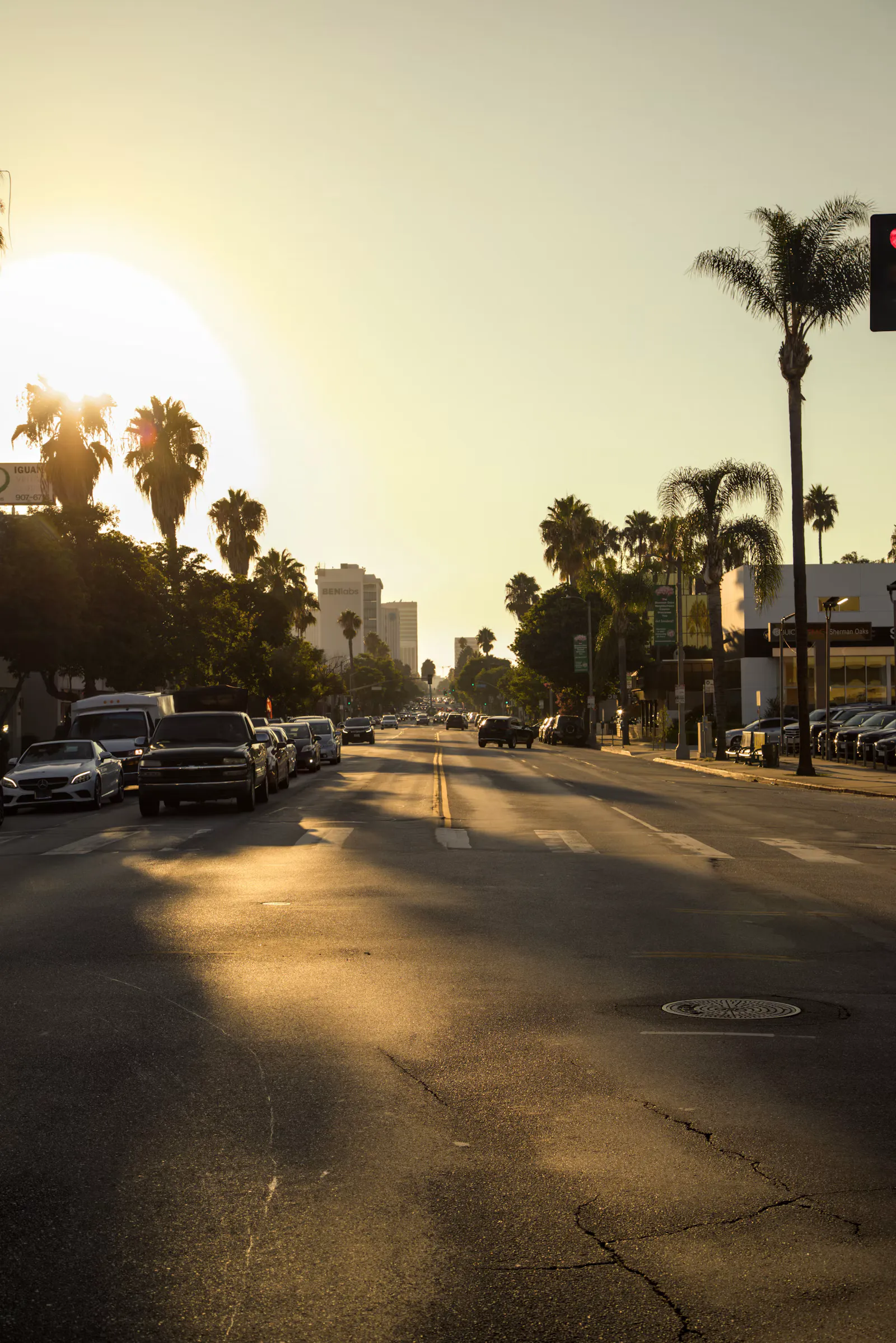 Sunset over Ventura Boulevard in Sherman Oaks, with traffic, shopfronts and palm trees.