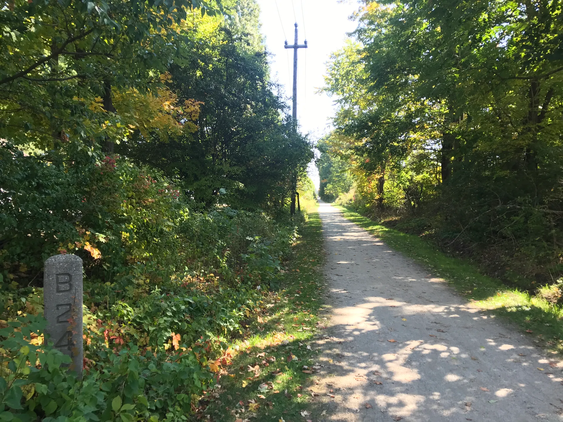 Topsfield Linear Common trail through the trees in Topsfield, Massachusetts.