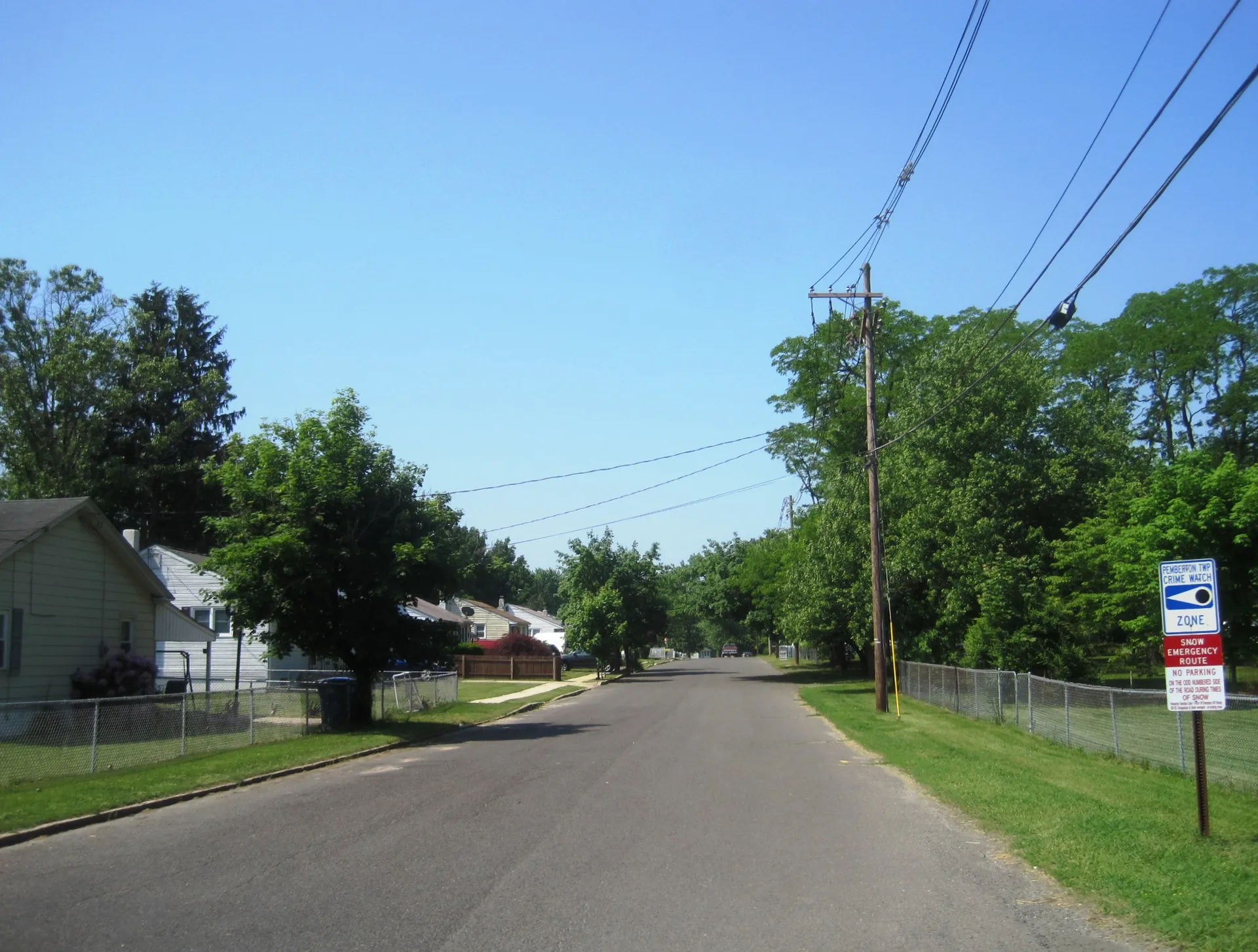 A quiet residential street curves through Pemberton Heights past small homes and leafy trees.