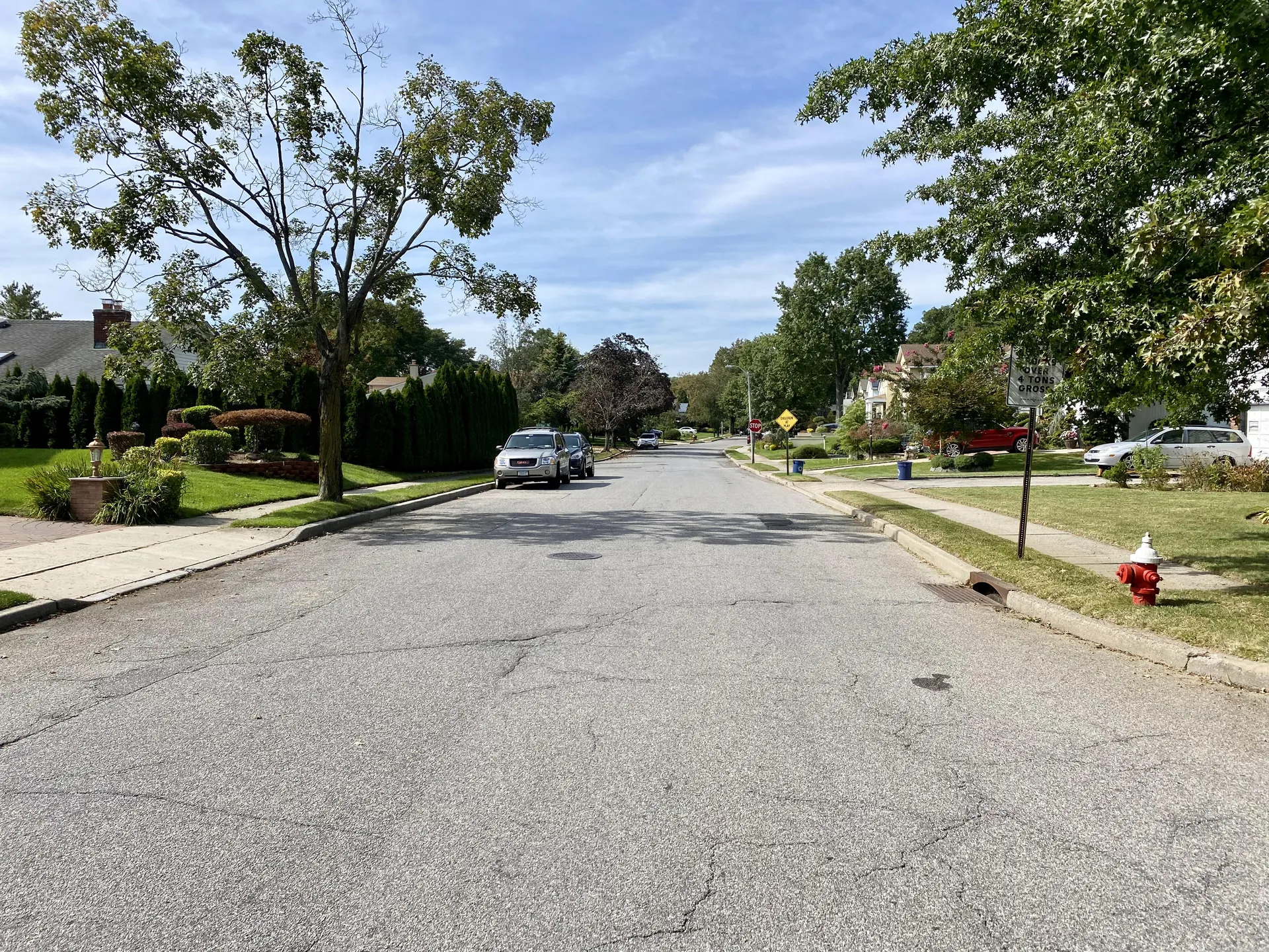 Tree-lined Executive Drive in Manhasset Hills, New York.